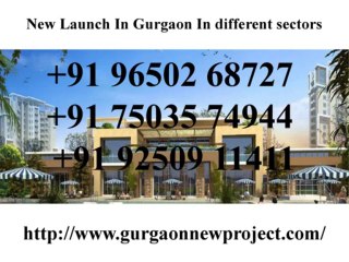 New Launch In Gurgaon Call @9650268727