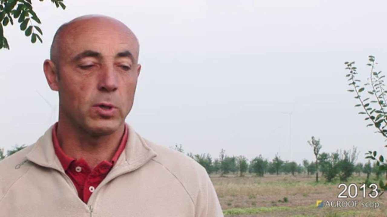 ITW 4 BRUNO HAGUET_agroforesterie 2013