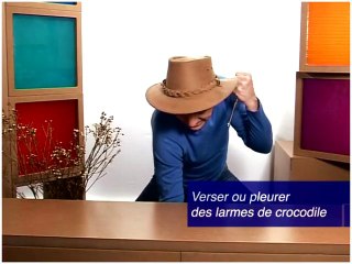 Pleurer des larmes de crocodile