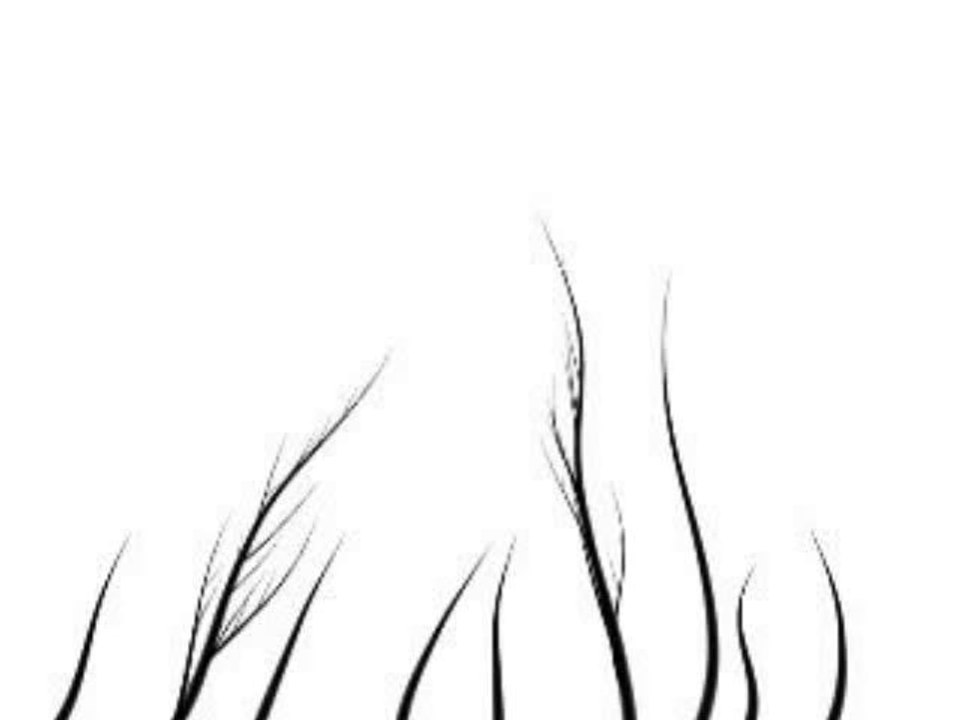 Sieg über die dunkelheit