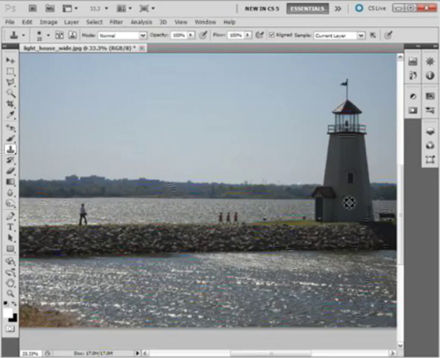 PhotoShop CS5 for Beginners - #09. Fixing Images with the Clone Tool_2