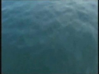 Behçet Gülas Kül Oldum