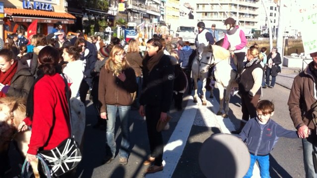 Manifestation des centres équestres