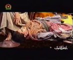 اصحاب الحسین علیہ السلام ۔ سید بن عمرہ ۔ 11