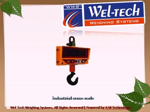 Crane scale, Crane scale manufacturers, Hanging scale manufacturers, Gujarat, India
