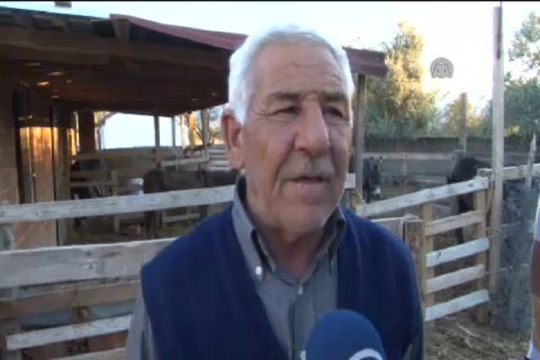 Eşek sütünden sabun yaptılar