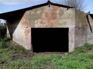 Biblical Archaeology VI