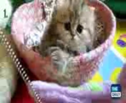 solve marriage problems +91-9928860580