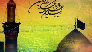 Shadab Zaidi Nohay 2014 ( Aye Shah-e-Karbala a.s) Poet : Salman Azmi