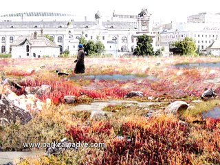 Парк «Зарядье» построят американские дизайнеры