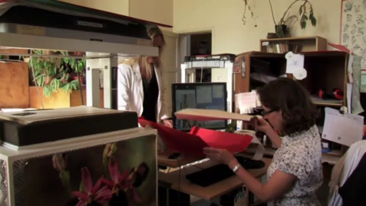 Des types par Téraoctects 17/40