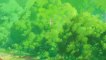 Le Vent Se Lève (Hayao Miyazaki) : bande annonce VF HD