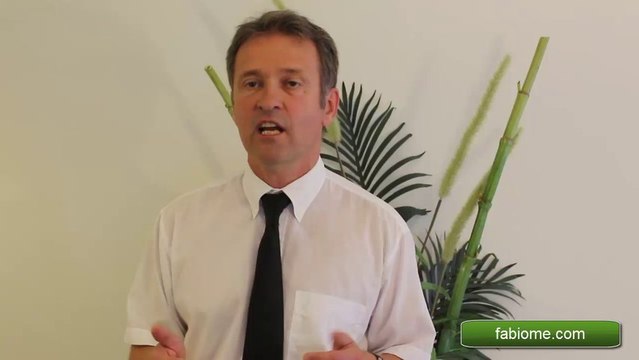 Formation création entreprise