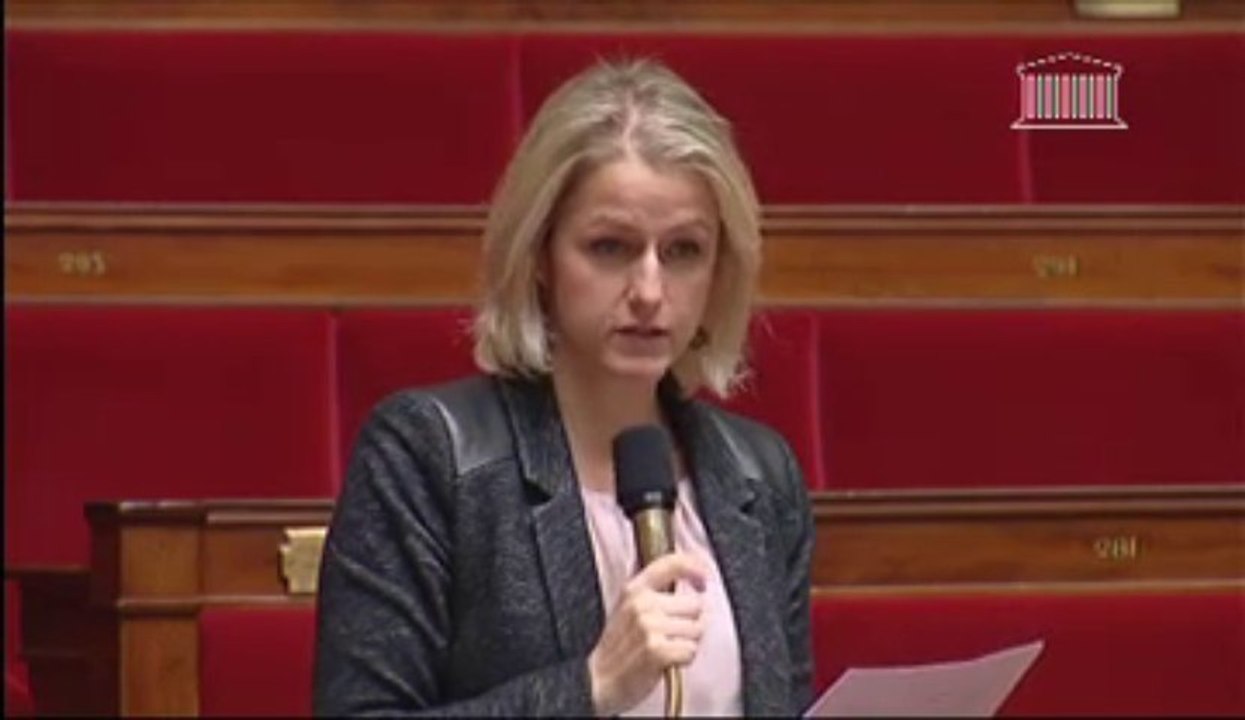 Question à la Ministre sur les médias associatifs locaux - 13 novembre 2013