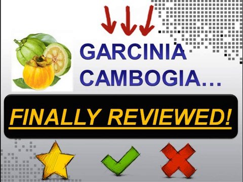 Garcinia Cambogia Where To Buy - Find Out The Best And Safest Place To Buy Your Garcinia Cambogia