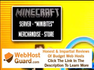 Server Miner BEST Server Hosting Company!