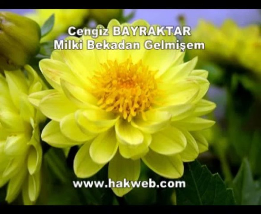 Cengiz Bayraktar - Milki Bakiden Gelmişem - http___www.hakweb.com