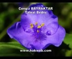 Cengiz Bayraktar - Taleal Bedru - http___www.hakweb.com
