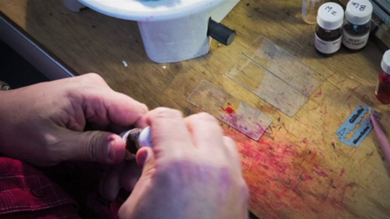 Au micromètre près 24/40