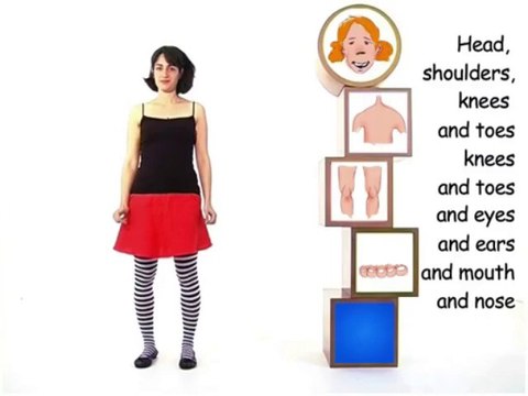 Les parties du corps