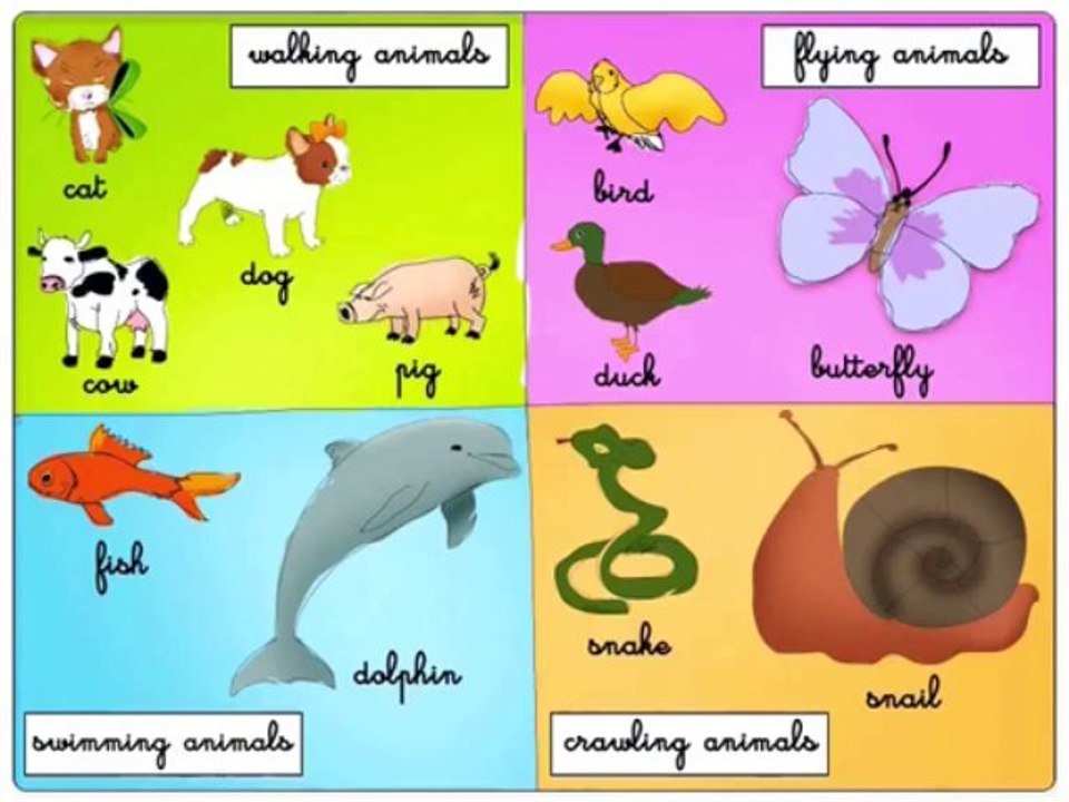 Les animaux