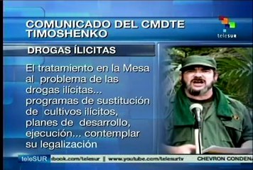 Informó Timoshenko sobre expectativas de negociaciones en La Habana