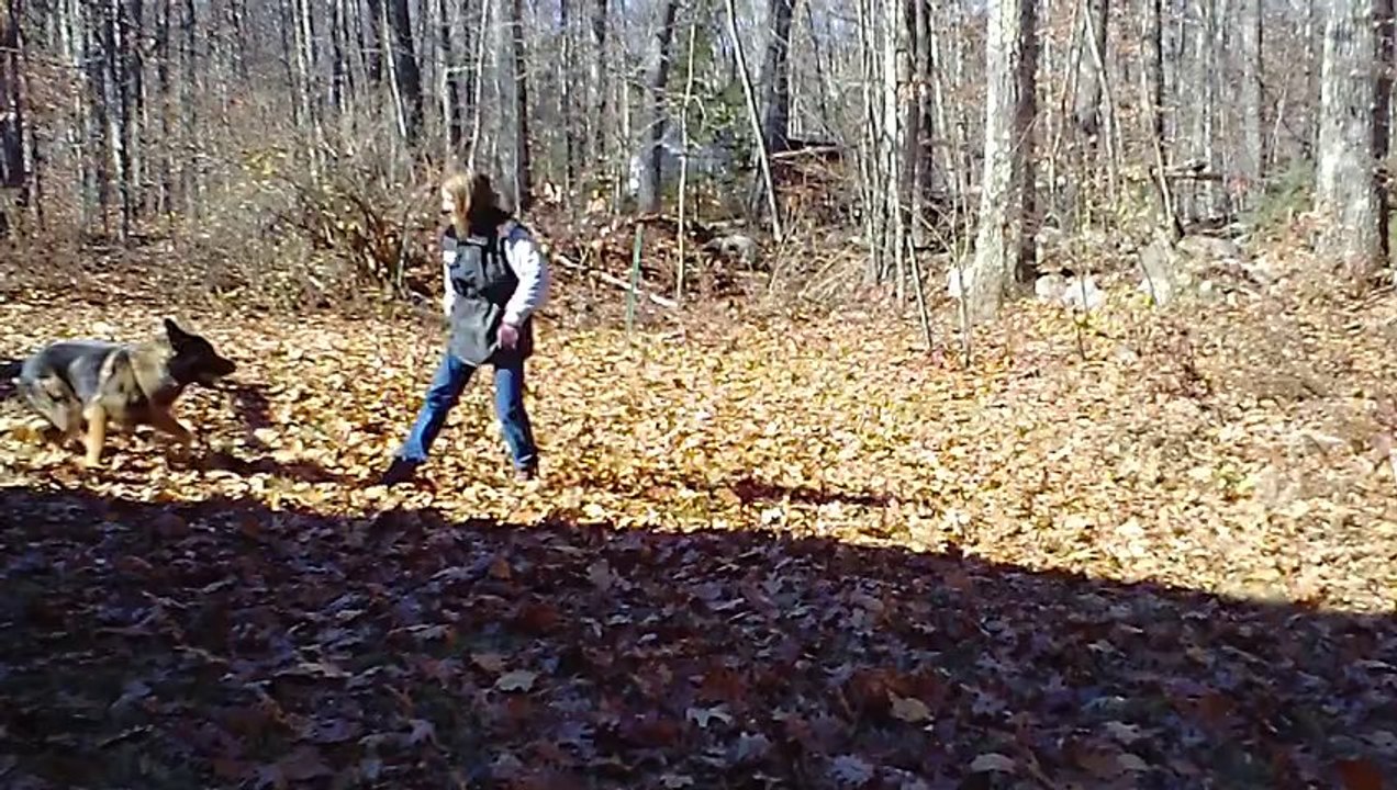 2013-11-13 001 (2)