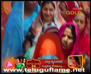 eti 13th nov - 3 maagold