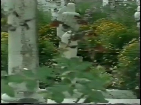 Hanka Paldum - Placem vec tri dana Spot 1995