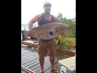 Black Dog Octo Jig Deep Drop