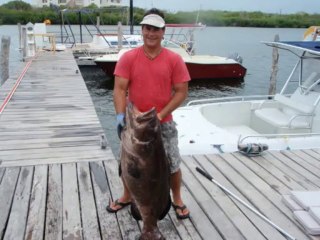 Black Dog Octo Jig BlackDogJigging.Com