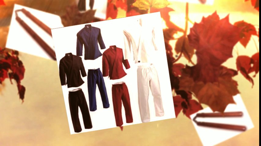 Martial arts equipment