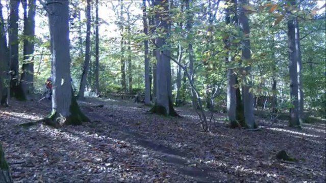 Chp Dep 2013 Cyclo-cross Cadets - Juniors