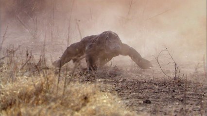 Życie. Odc.2. Gady i płazy.