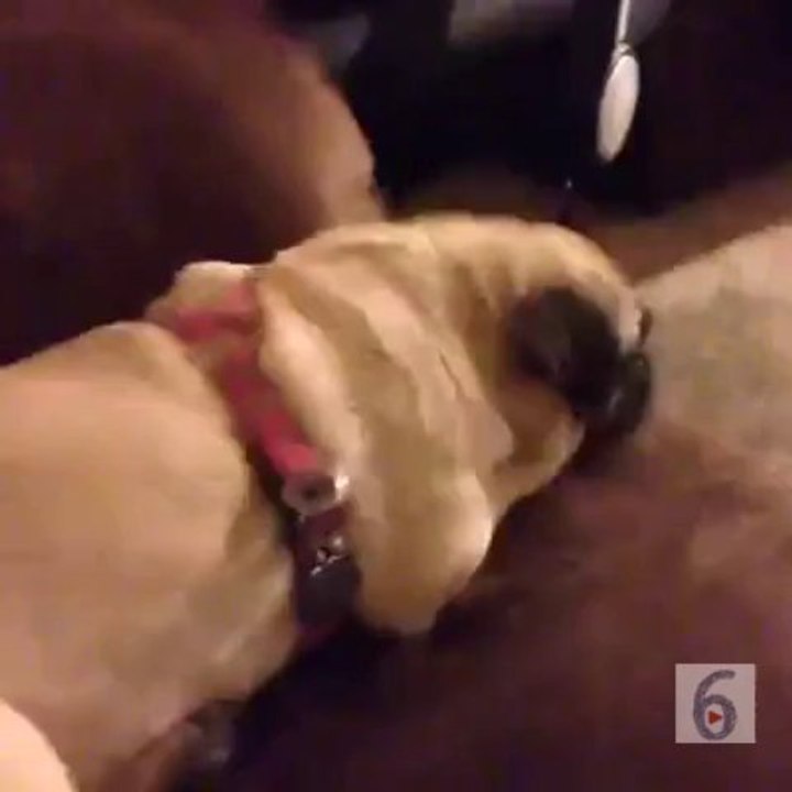 What did you just say
