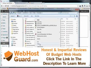 Download Video: Web Hosting India - Migrate Wordpress Website to new host