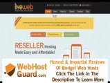 Preview LiveWeb - WordPress Web Hosting Template Technolog