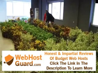 Georgia hosting Iranian successful business.