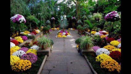 Montage belle image Musique Moonlight - Electric Cello (Inspired by Beethoven) - ThePianoGuys