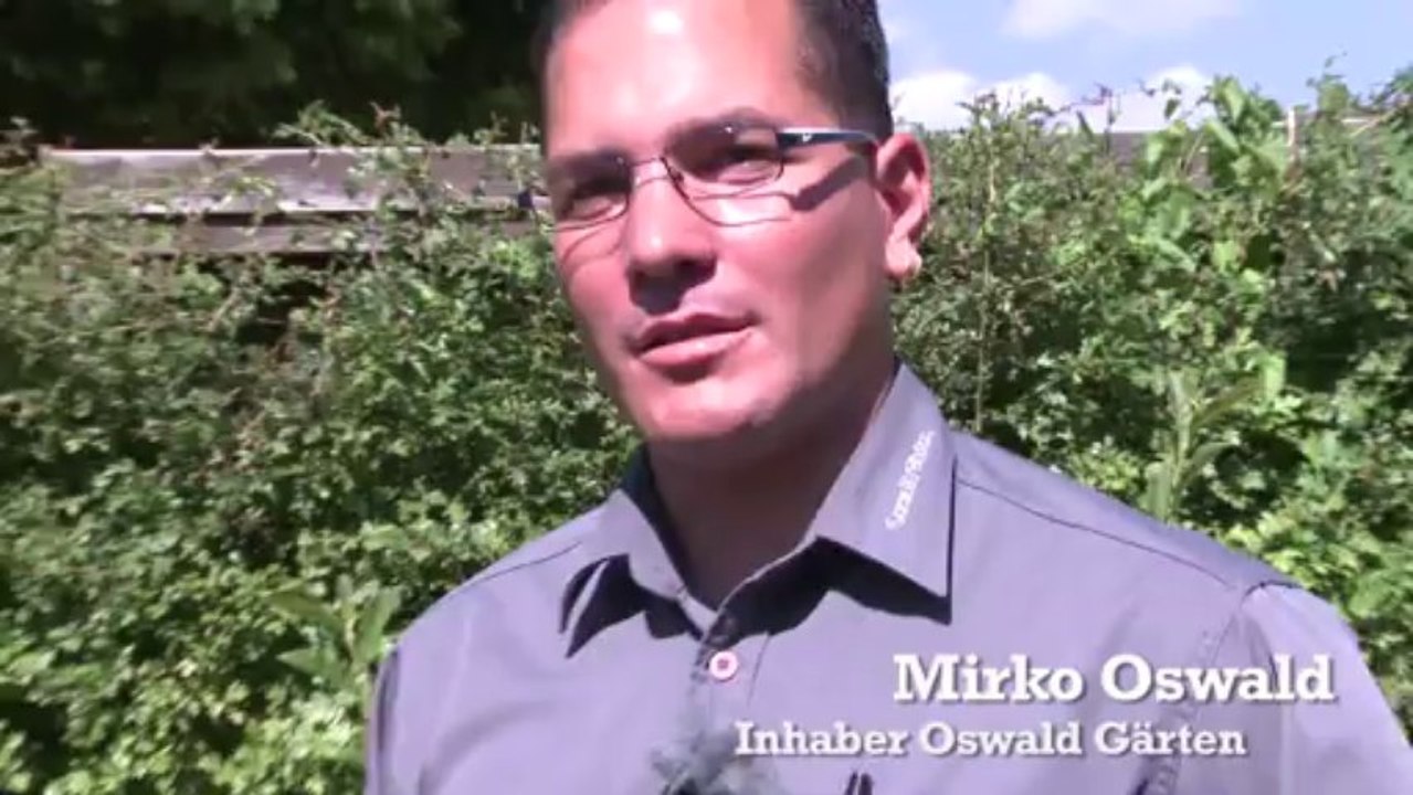 Anwuchsgarantie für Pflanzen, Bäume, Sträucher, Gartenbonsai und weiteren Pflanzungen?