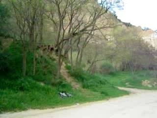 Jump du plan d'eau à ille P