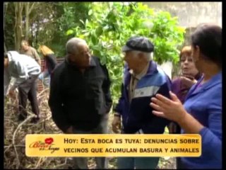 Síndrome de Diógenes: basura y animales