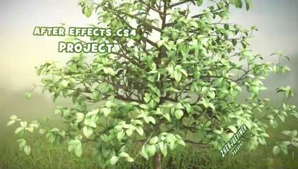 Tree Grow Openers - After Effects Template