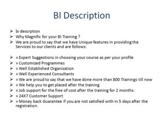 bi online training and consulting services