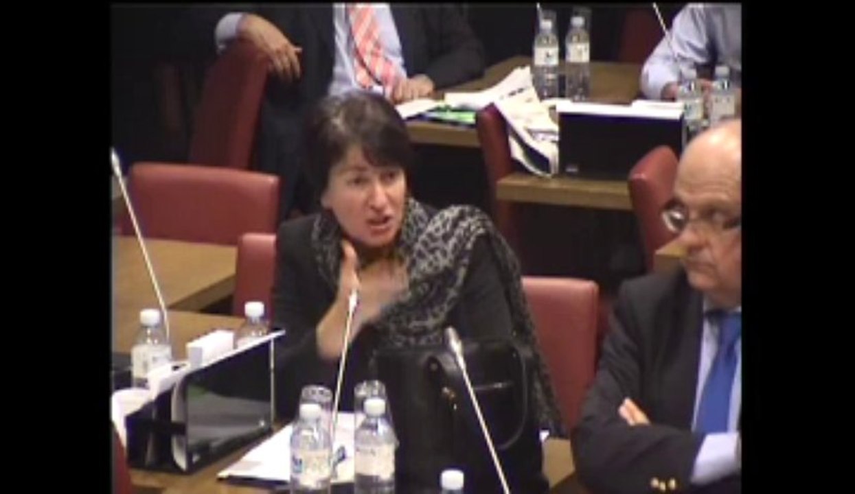 Assemblée nationale Commission Affaires Européennes Audition de Thierry Repentin Ministre des Affaires Européennes 29 octobre 2013