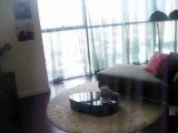 Service apartment in Binh Thanh District rental call 09.7777.1919