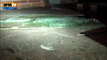 Toulouse: deux sangliers sèment la panique en centre-ville -14/11