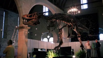 Montage du T-REX aux greniers St Jean