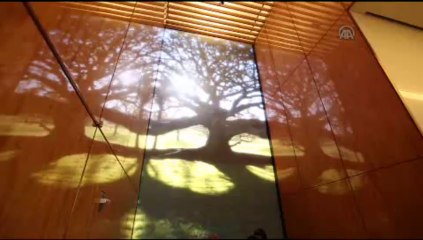 Ticeretin yeni sembolü açıldı