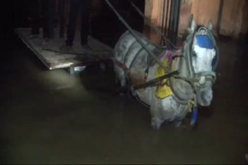 Gazze, kanalizasyon suları altında